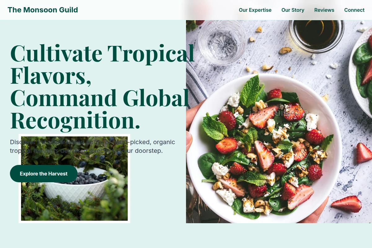 Branch Organic Food