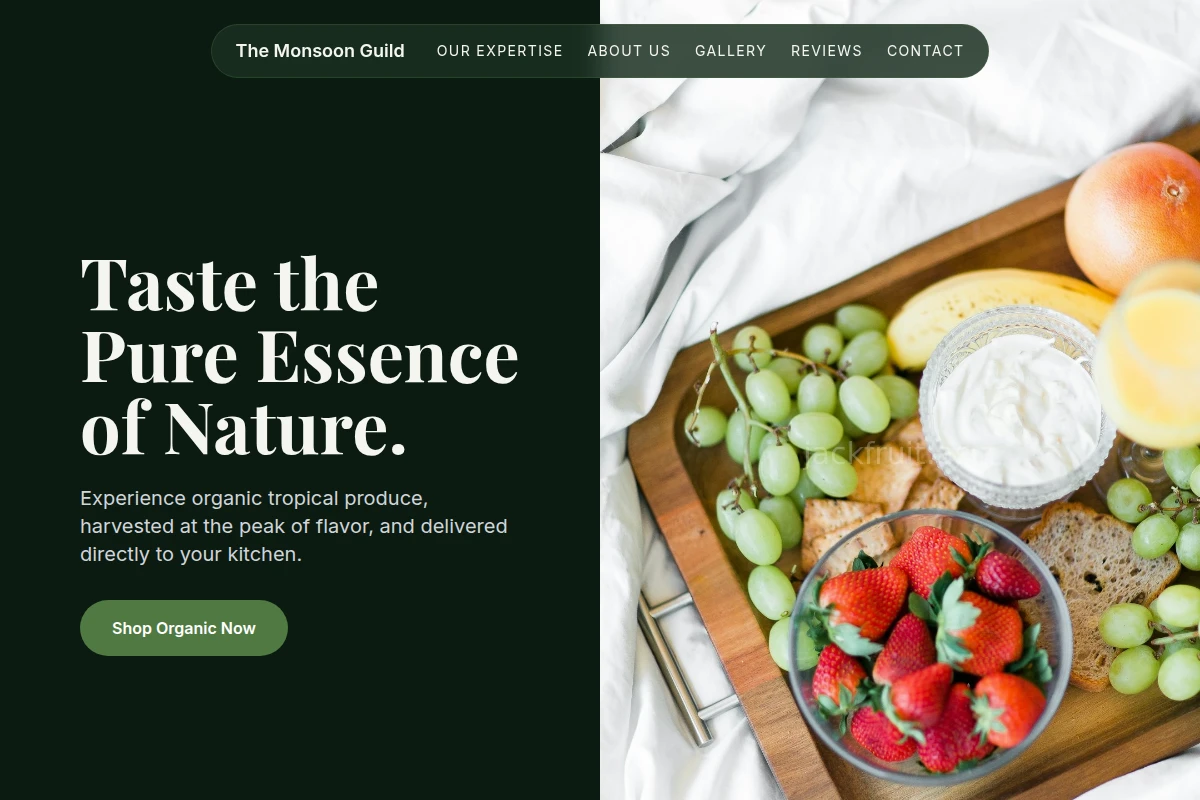Root Organic Food